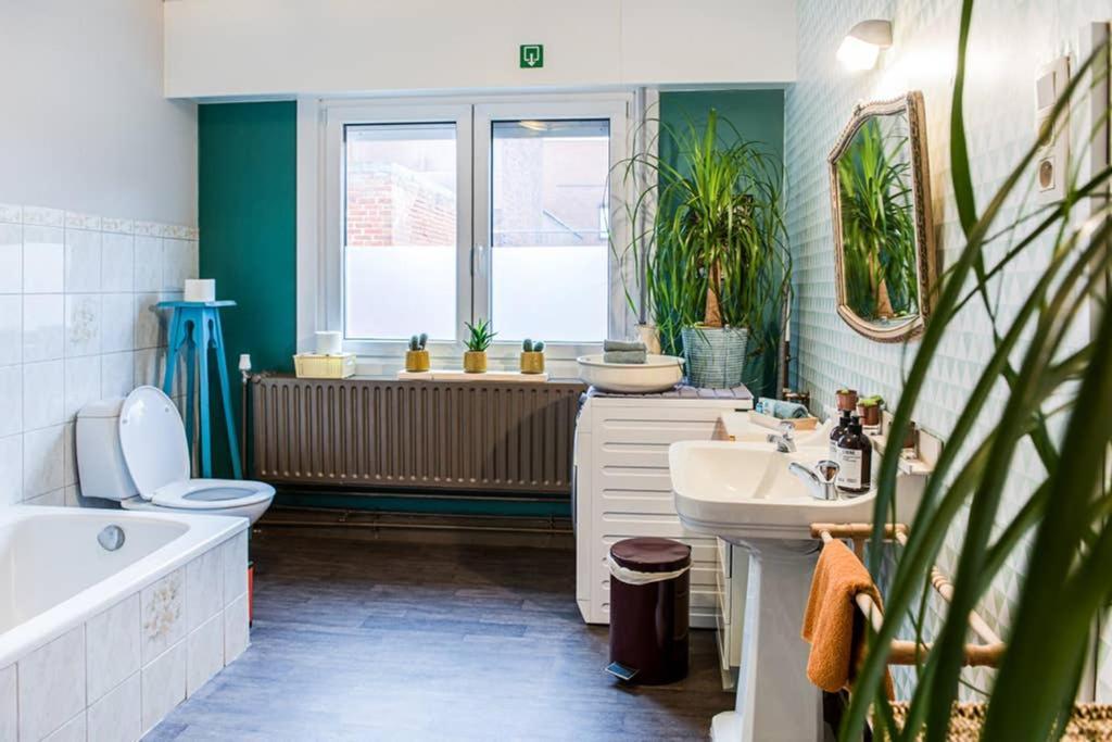 Vakantiewoning In Mol Centrum Met Eigen Bar "Casacuriosa" エクステリア 写真